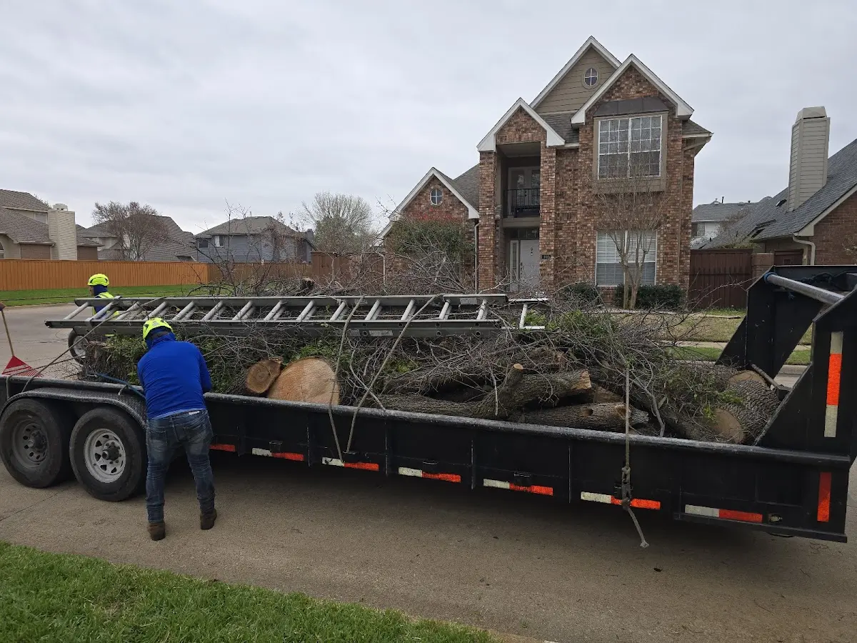 Expert Lot Clearing with proper safety equipment in Nora